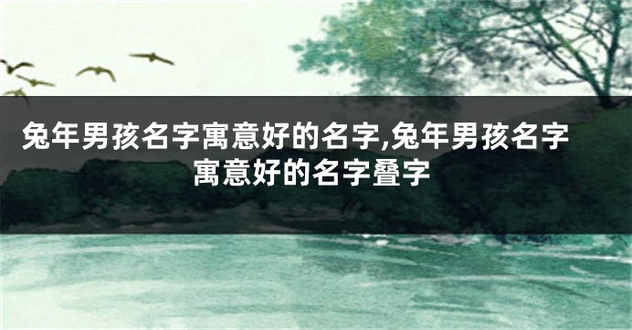 兔年男孩名字寓意好的名字,兔年男孩名字寓意好的名字叠字