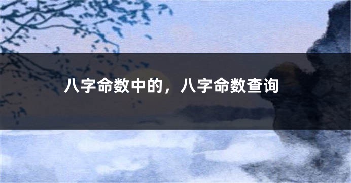 八字命数中的，八字命数查询