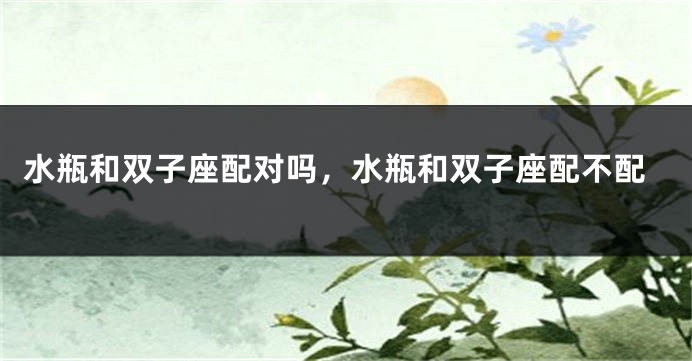 水瓶和双子座配对吗，水瓶和双子座配不配