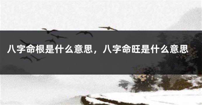 八字命根是什么意思,八字命旺是什么意思