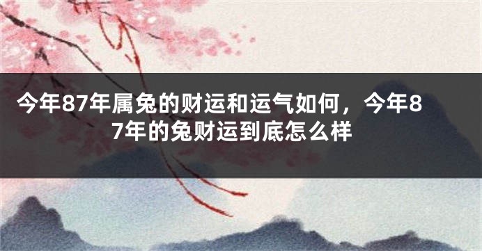 今年87年属兔的财运和运气如何，今年87年的兔财运到底怎么样