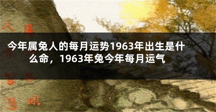 今年属兔人的每月运势1963年出生是什么命，1963年兔今年每月运气