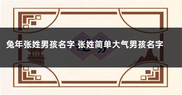 兔年张姓男孩名字 张姓简单大气男孩名字