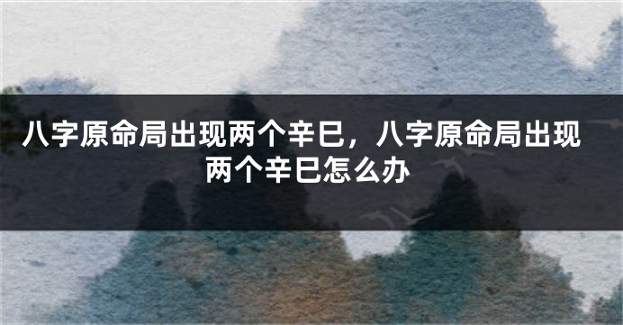 八字原命局出现两个辛巳，八字原命局出现两个辛巳怎么办