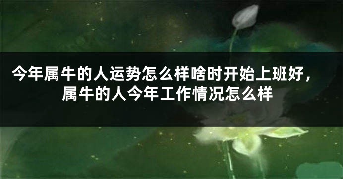 今年属牛的人运势怎么样啥时开始上班好，属牛的人今年工作情况怎么样