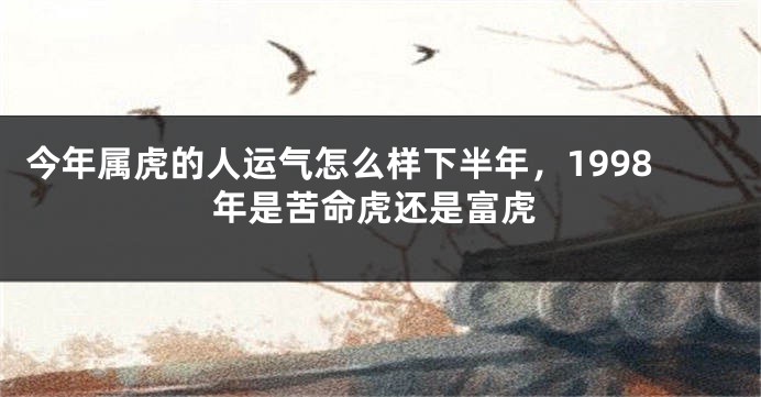 今年属虎的人运气怎么样下半年，1998年是苦命虎还是富虎