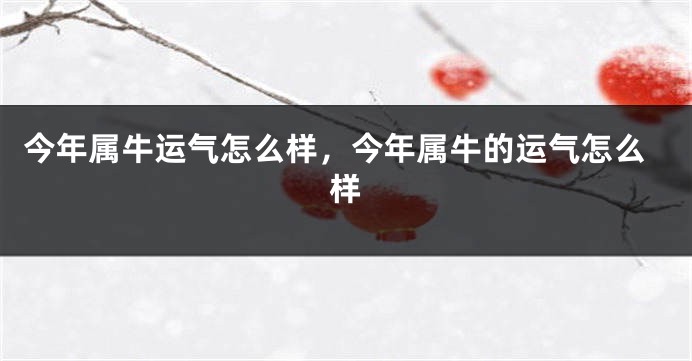 今年属牛运气怎么样，今年属牛的运气怎么样