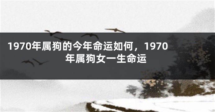 1970年属狗的今年命运如何，1970年属狗女一生命运