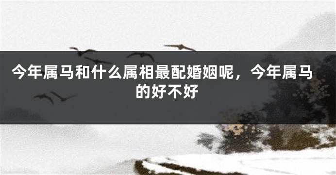 今年属马和什么属相最配婚姻呢，今年属马的好不好