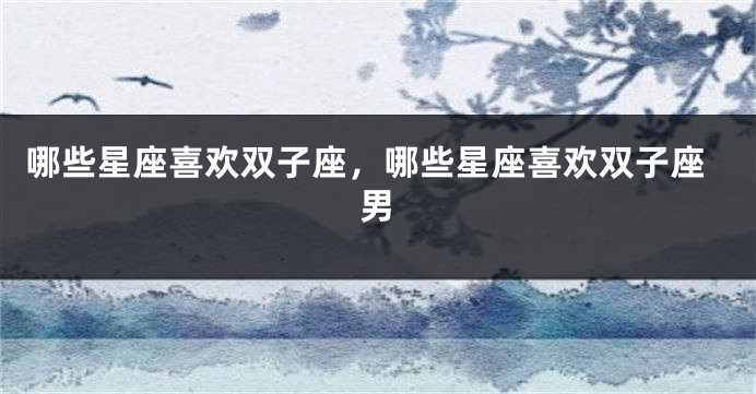 哪些星座喜欢双子座，哪些星座喜欢双子座男