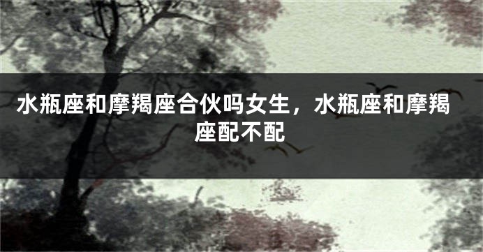 水瓶座和摩羯座合伙吗女生，水瓶座和摩羯座配不配