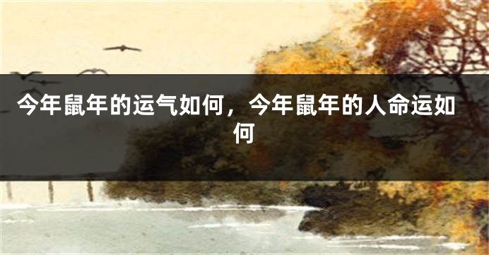 今年鼠年的运气如何，今年鼠年的人命运如何