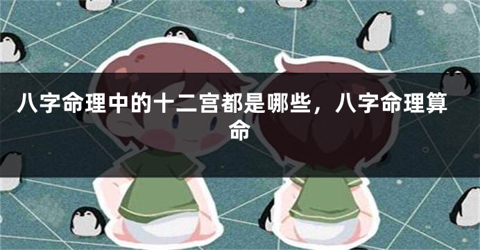 八字命理中的十二宫都是哪些，八字命理算命