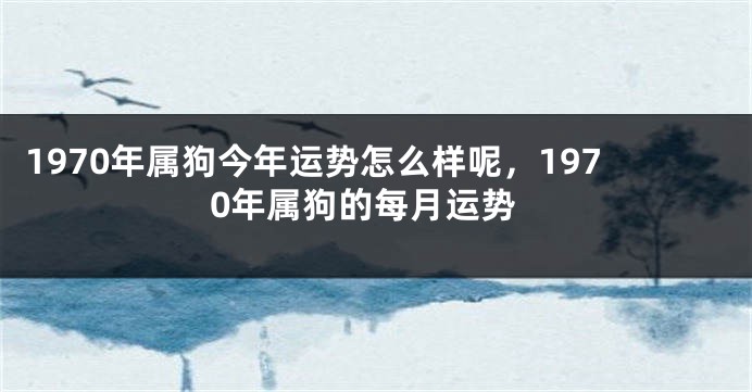 1970年属狗今年运势怎么样呢，1970年属狗的每月运势