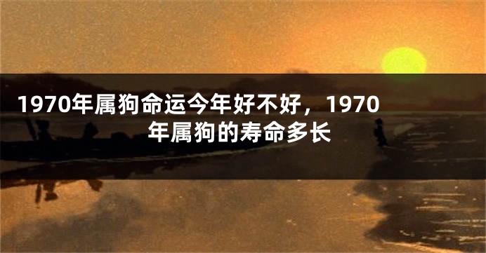 1970年属狗命运今年好不好，1970年属狗的寿命多长