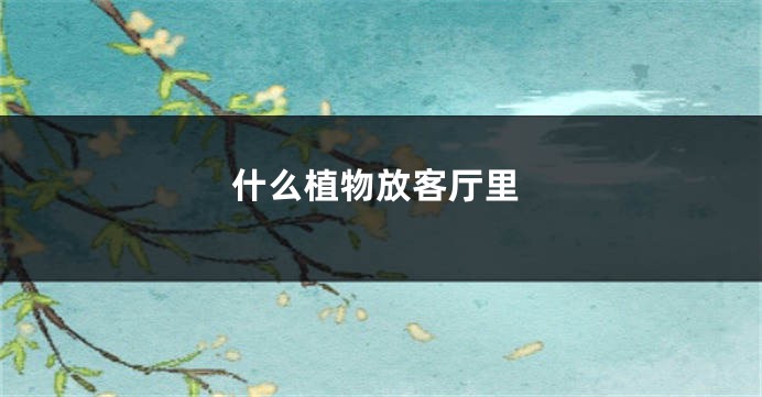 什么植物放客厅里