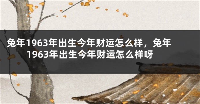 兔年1963年出生今年财运怎么样，兔年1963年出生今年财运怎么样呀