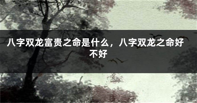 八字双龙富贵之命是什么,八字双龙之命好不好