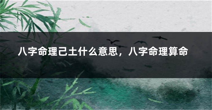 八字命理己土什么意思，八字命理算命