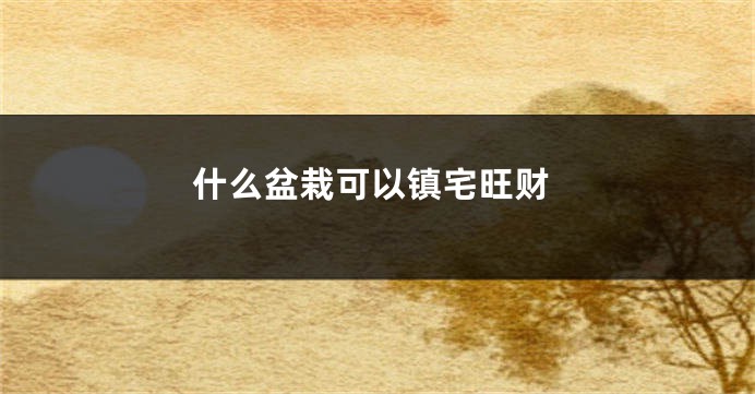 什么盆栽可以镇宅旺财