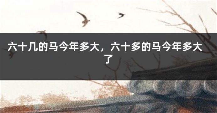 六十几的马今年多大，六十多的马今年多大了