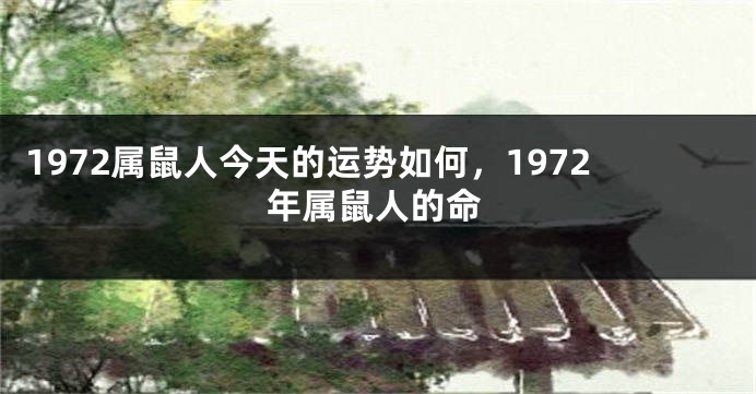1972属鼠人今天的运势如何，1972年属鼠人的命