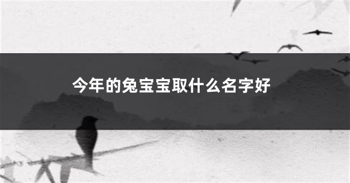 今年的兔宝宝取什么名字好