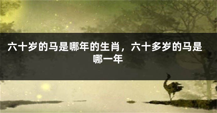 六十岁的马是哪年的生肖，六十多岁的马是哪一年