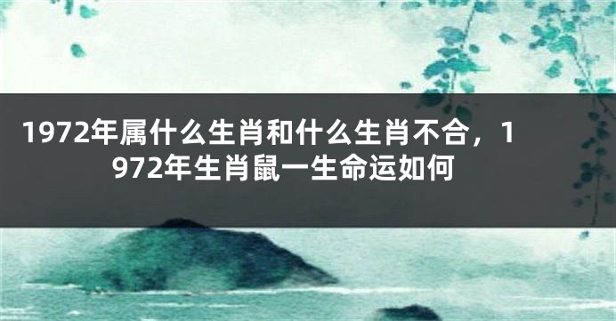 1972年属什么生肖和什么生肖不合，1972年生肖鼠一生命运如何