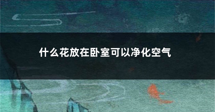 什么花放在卧室可以净化空气