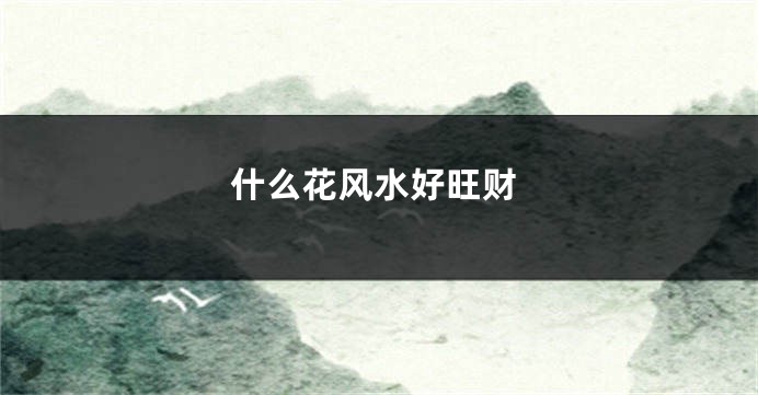 什么花风水好旺财