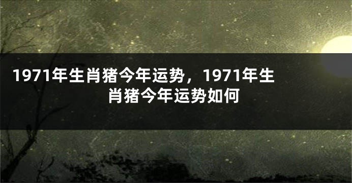 1971年生肖猪今年运势，1971年生肖猪今年运势如何