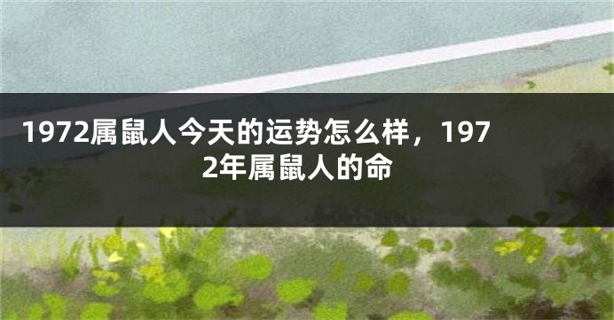1972属鼠人今天的运势怎么样，1972年属鼠人的命