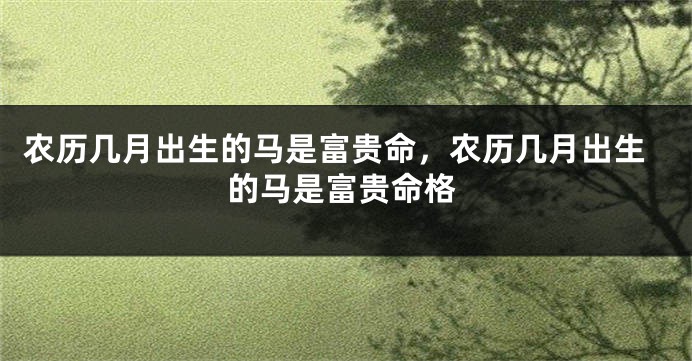农历几月出生的马是富贵命，农历几月出生的马是富贵命格