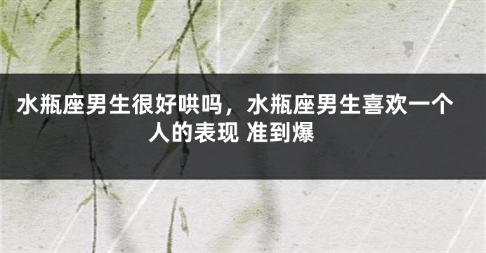 水瓶座男生很好哄吗，水瓶座男生喜欢一个人的表现 准到爆