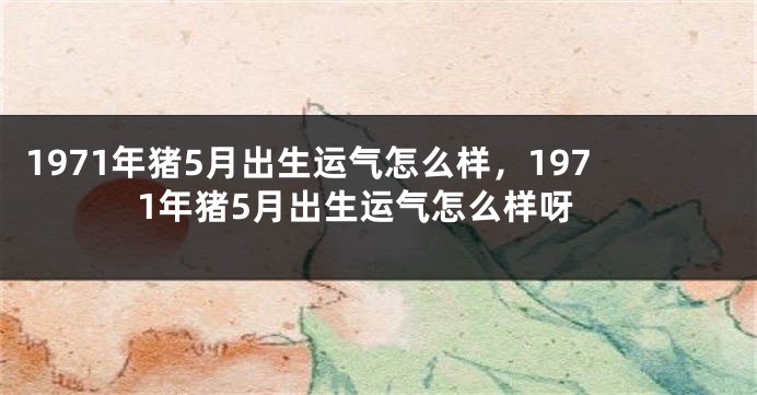 1971年猪5月出生运气怎么样，1971年猪5月出生运气怎么样呀