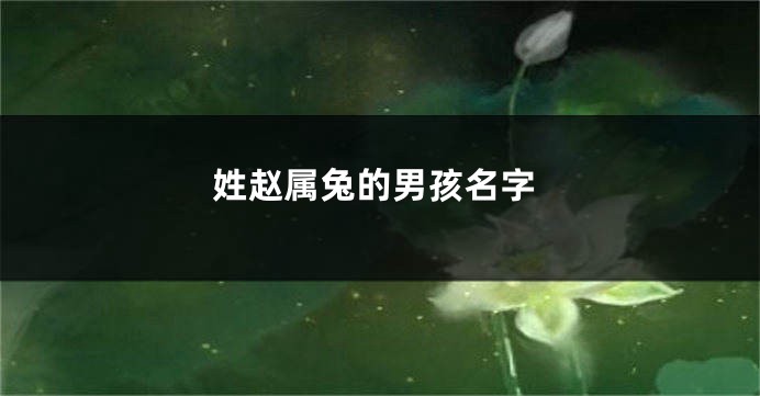 姓赵属兔的男孩名字