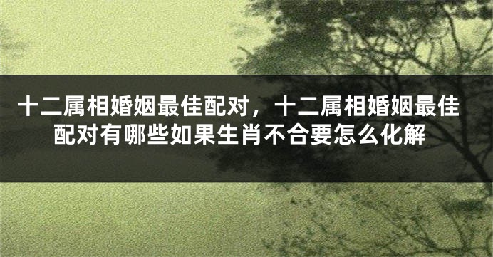 十二属相婚姻最佳配对，十二属相婚姻最佳配对有哪些如果生肖不合要怎么化解