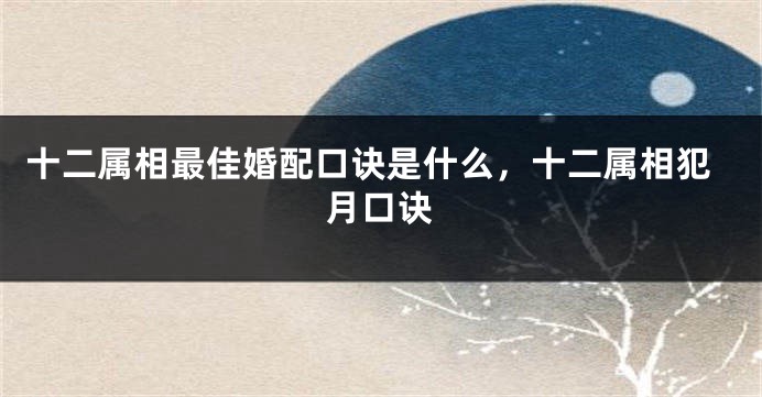十二属相最佳婚配口诀是什么，十二属相犯月口诀