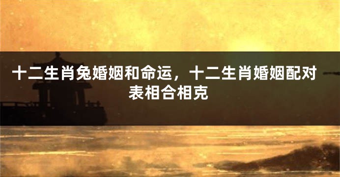 十二生肖兔婚姻和命运,十二生肖婚姻配对表相合相克