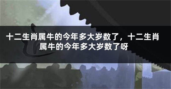 十二生肖属牛的今年多大岁数了，十二生肖属牛的今年多大岁数了呀