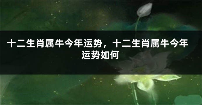 十二生肖属牛今年运势，十二生肖属牛今年运势如何