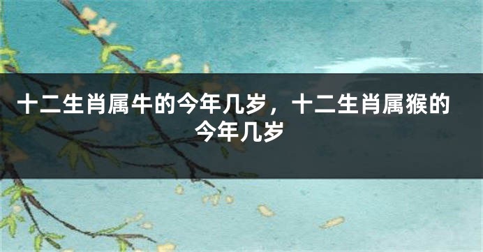 十二生肖属牛的今年几岁，十二生肖属猴的今年几岁