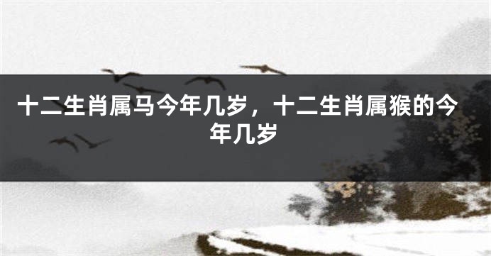 十二生肖属马今年几岁，十二生肖属猴的今年几岁