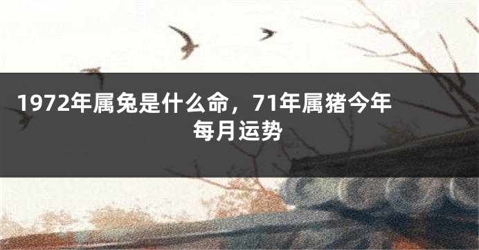 1972年属兔是什么命，71年属猪今年每月运势