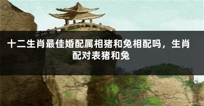 十二生肖最佳婚配属相猪和兔相配吗，生肖配对表猪和兔