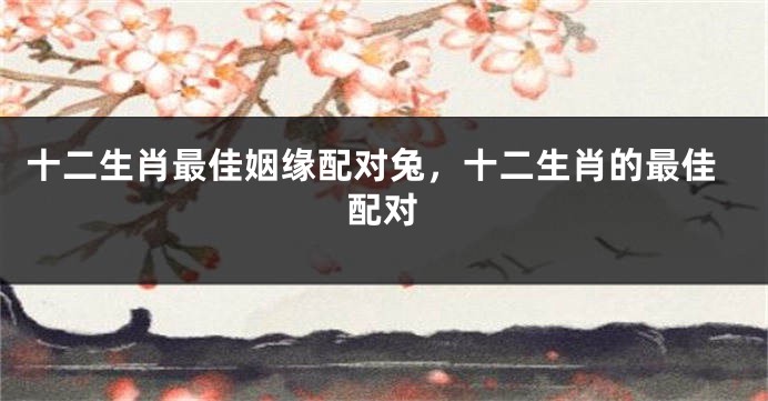 十二生肖最佳姻缘配对兔，十二生肖的最佳配对