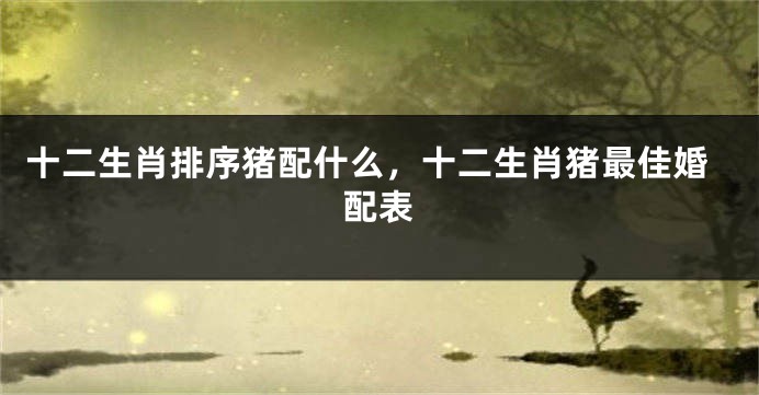 十二生肖排序猪配什么，十二生肖猪最佳婚配表