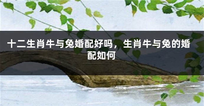 十二生肖牛与兔婚配好吗，生肖牛与兔的婚配如何