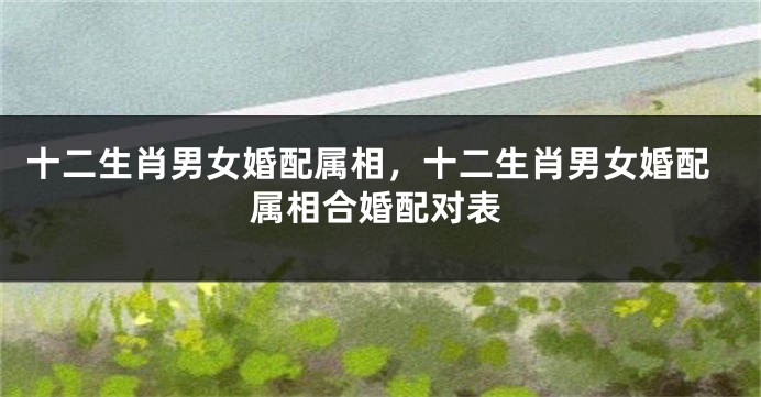 十二生肖男女婚配属相，十二生肖男女婚配属相合婚配对表